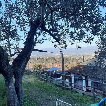 Vero Paradiso