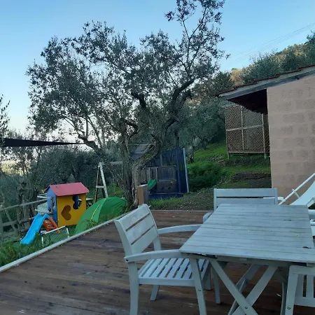 Vero Paradiso *