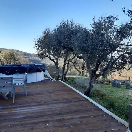Vero Paradiso *